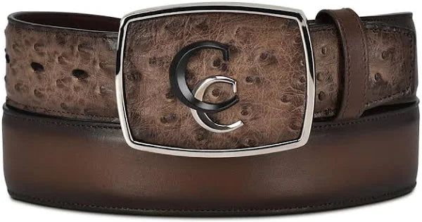 Paxton Ostrich Exotic Belt