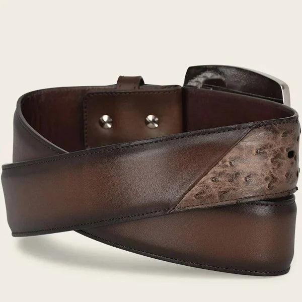 Paxton Ostrich Exotic Belt