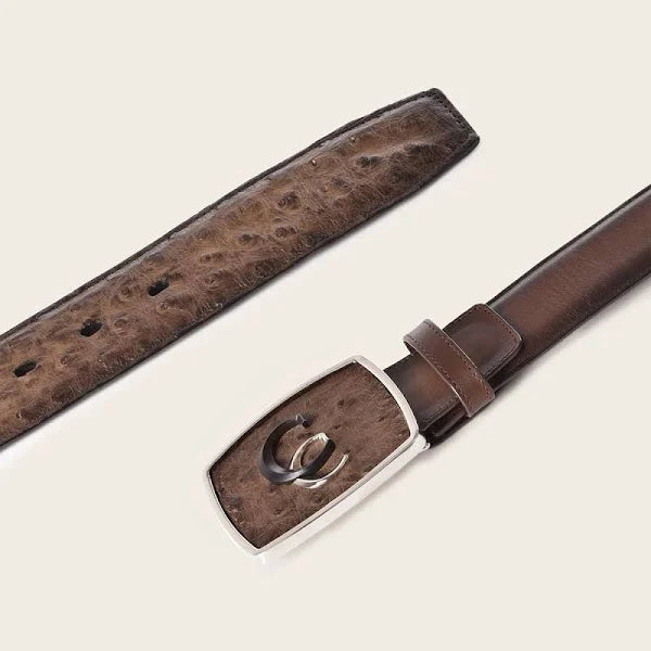Paxton Ostrich Exotic Belt