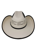 Load image into Gallery viewer, Horse Bordered Straw Hat
