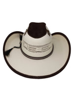 Load image into Gallery viewer, Boe Bull Straw/Felt Hat
