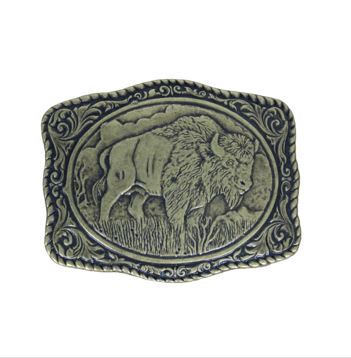 SNG Assorted Belt Buckles