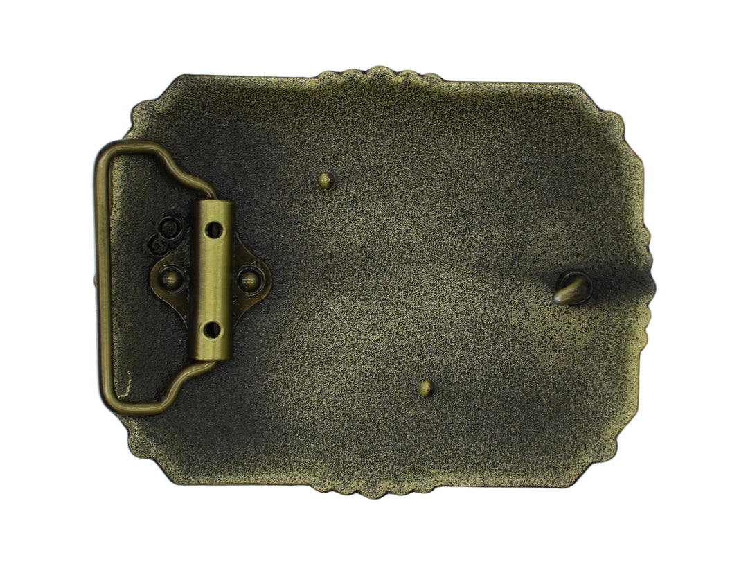 SNG Assorted Belt Buckles