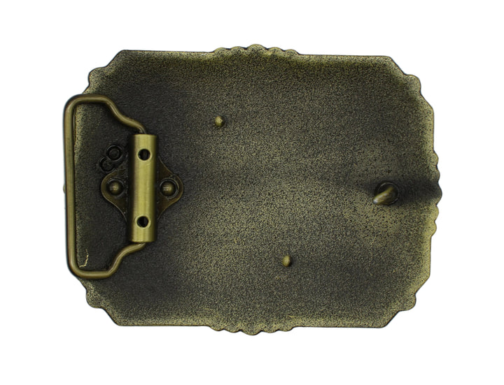 SNG Assorted Belt Buckles