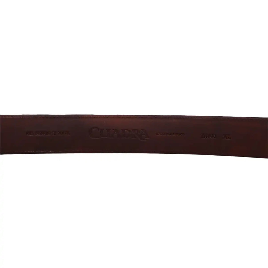 Manuel Black Python Laser Woven Belt