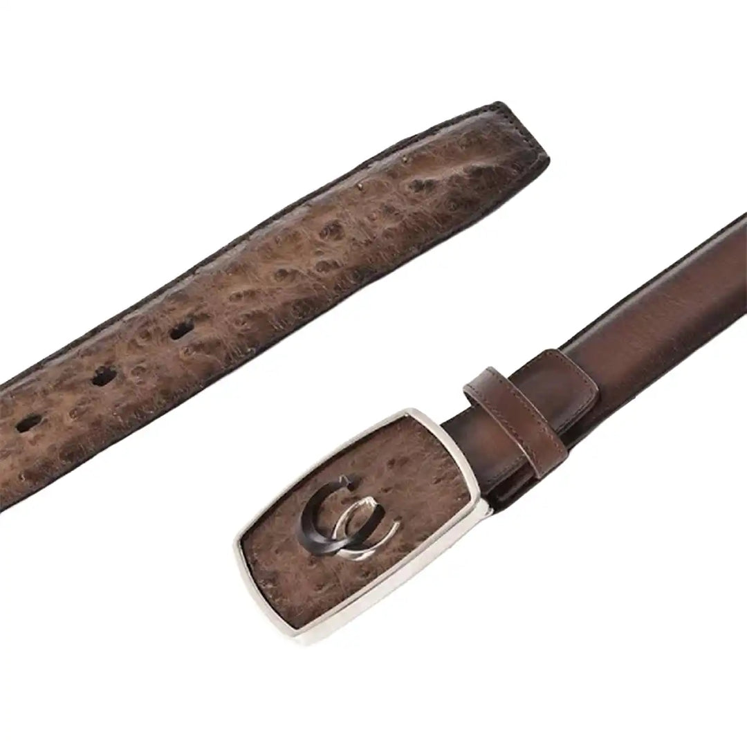 Paxton Ostrich Exotic Belt
